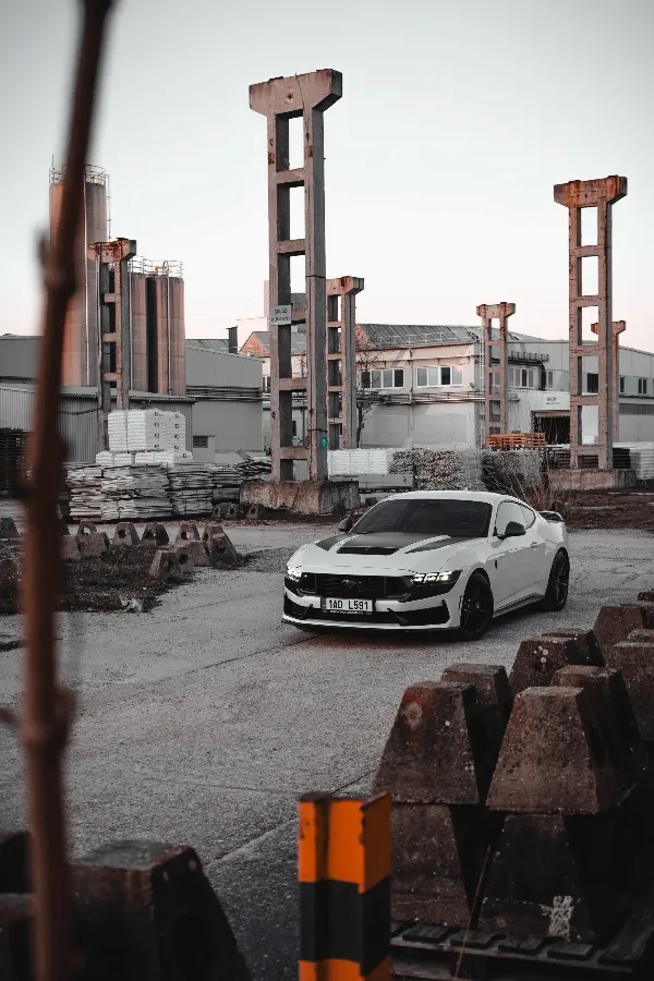 Mustang